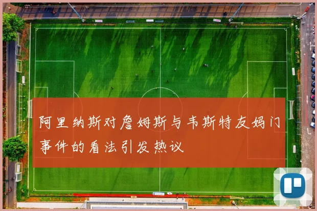 阿里纳斯对詹姆斯与韦斯特友妈门事件的看法引发热议