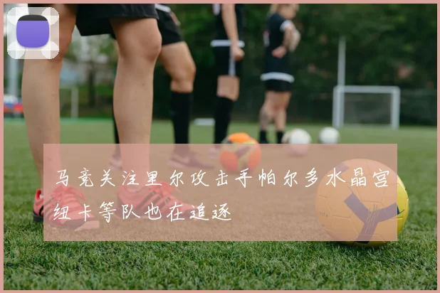 马竞关注里尔攻击手帕尔多水晶宫纽卡等队也在追逐