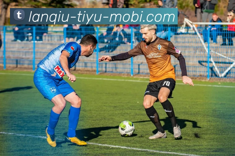 App Interface Preview