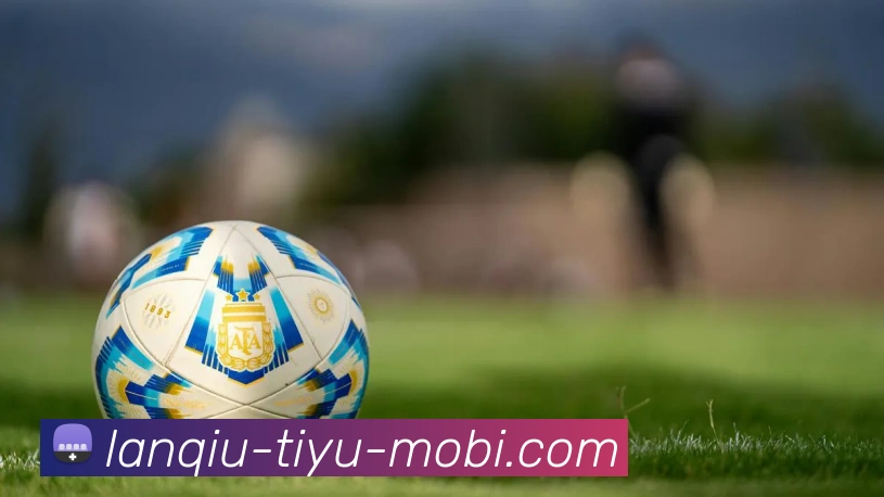 篮球赌注APP 封面图